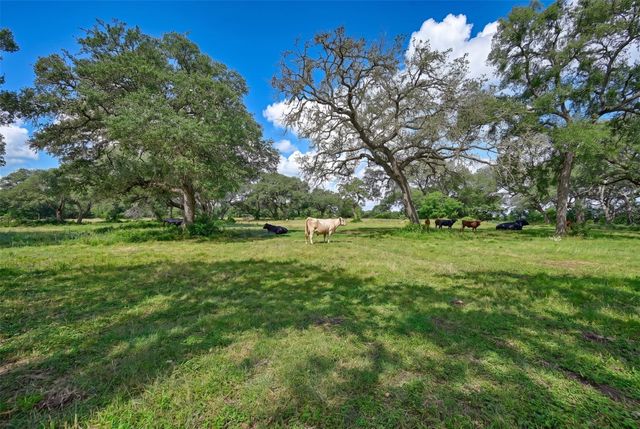 10100 Harmon School Road, Burton, TX 77835