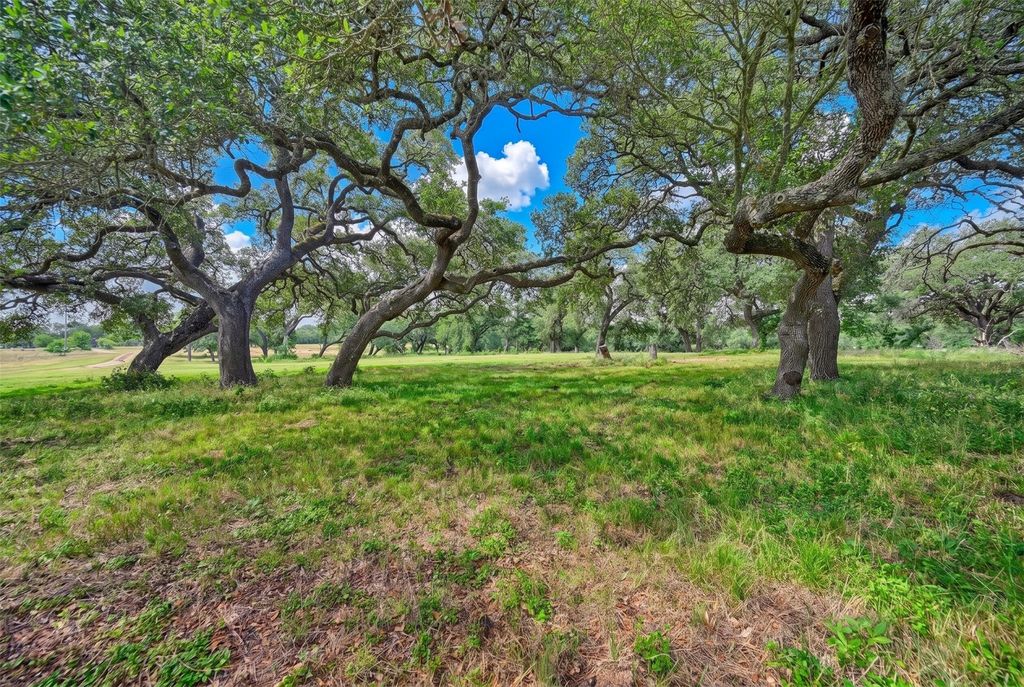 10100 Harmon School Road, Burton, TX 77835