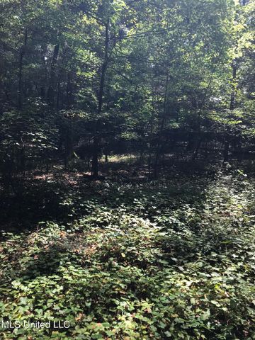 0 Norrell Rd., Bolton, MS 39041