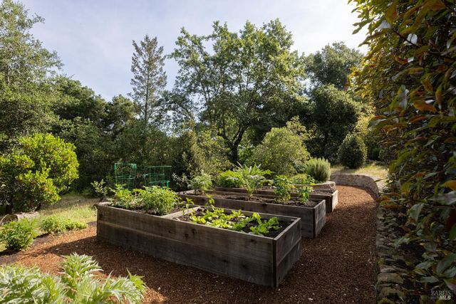 1312 Summit Dr, Calistoga, CA 94515