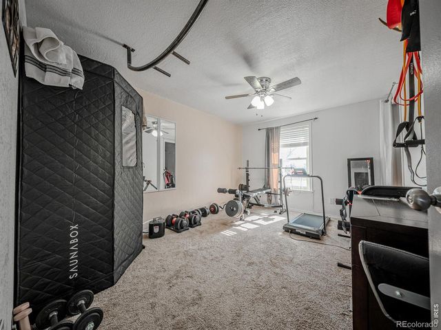236 Priddy Street, Pierce, CO 80650