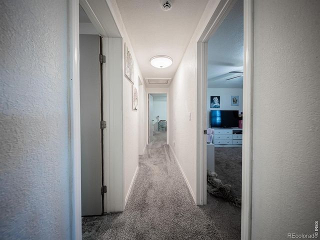 236 Priddy Street, Pierce, CO 80650