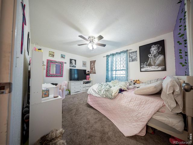 236 Priddy Street, Pierce, CO 80650
