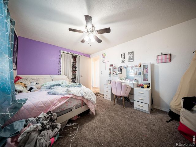 236 Priddy Street, Pierce, CO 80650