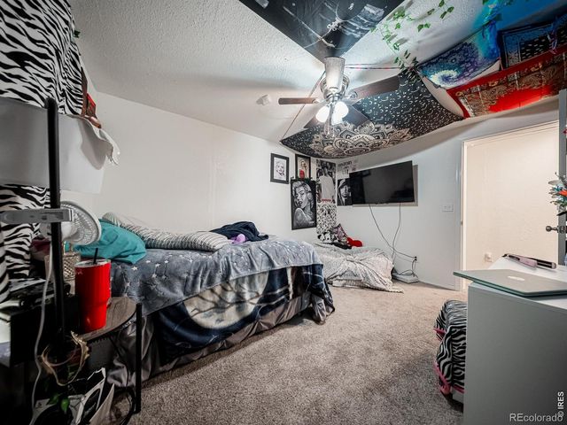 236 Priddy Street, Pierce, CO 80650