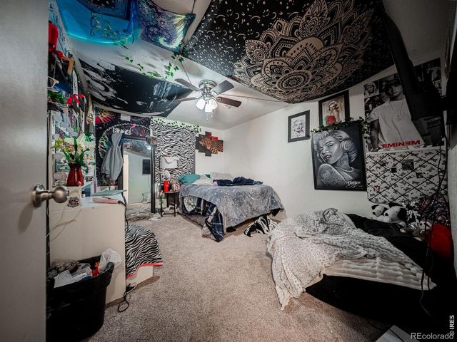 236 Priddy Street, Pierce, CO 80650