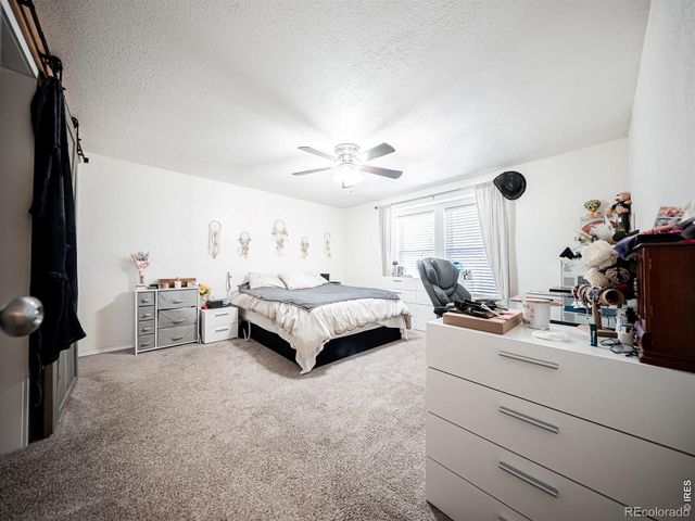 236 Priddy Street, Pierce, CO 80650