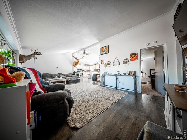 236 Priddy Street, Pierce, CO 80650