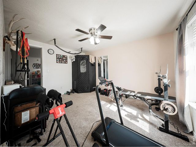 236 Priddy Street, Pierce, CO 80650