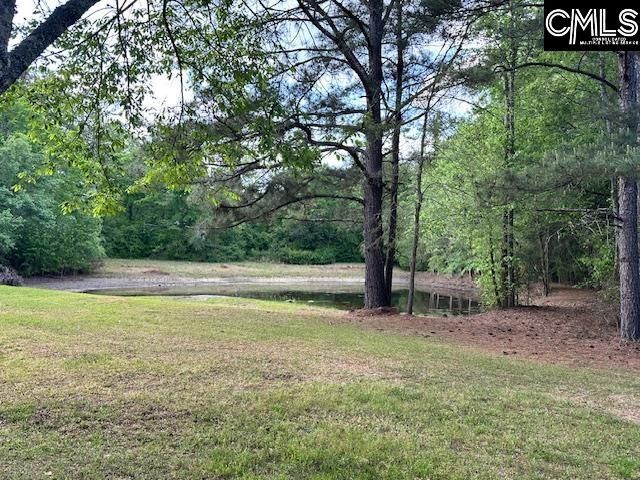 1426 W. Creek Road, Leesville, SC 29070