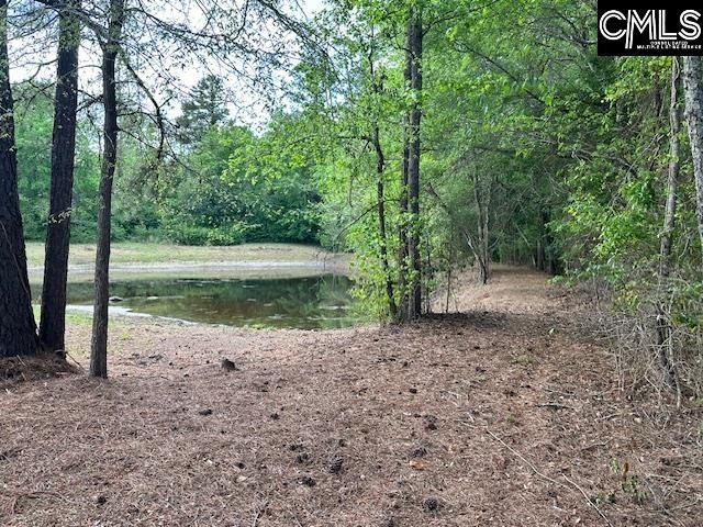 1426 W. Creek Road, Leesville, SC 29070