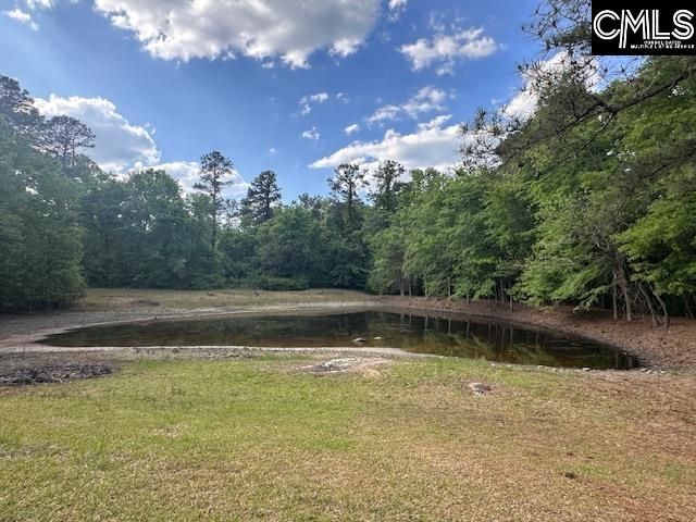 1426 W. Creek Road, Leesville, SC 29070