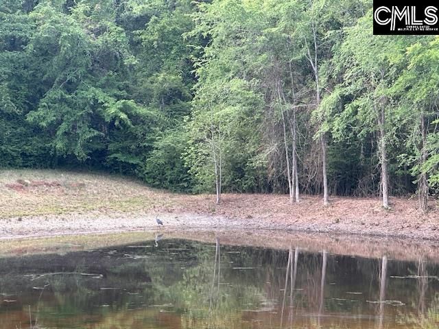 1426 W. Creek Road, Leesville, SC 29070