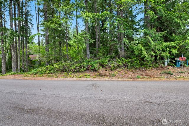 531 N Fairway Drive W, Hoodsport, WA 98548