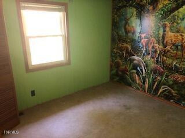 721 Rector Drive, Kingsport, TN 37665