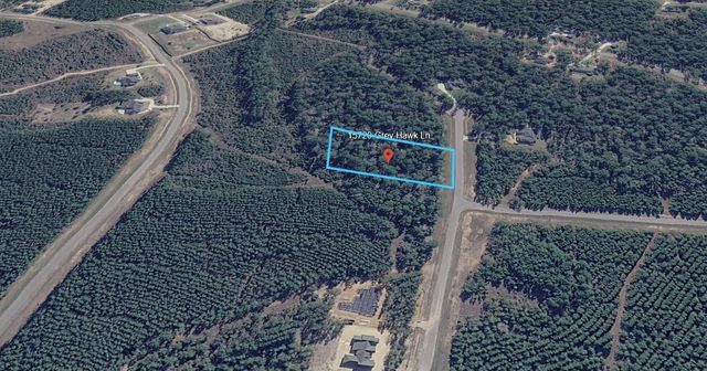 15720 Grey Hawk Ln, Willis, TX 77378