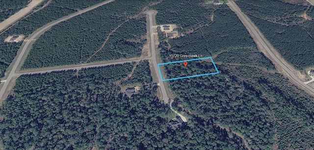 15720 Grey Hawk Ln, Willis, TX 77378