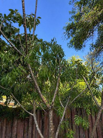 8618 GRANDVIEW DRIVE, Tampa, FL 33617
