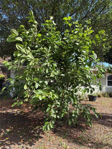 8618 GRANDVIEW DRIVE, Tampa, FL 33617