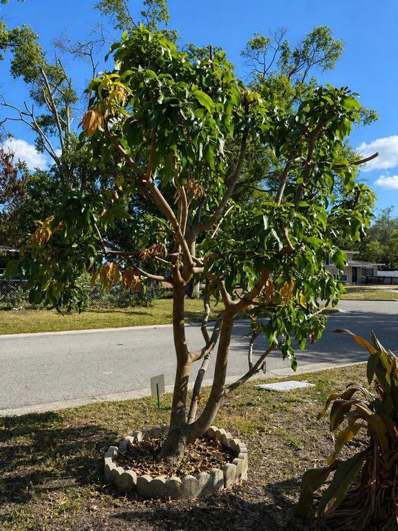 Image 42 of property listing at 8618 GRANDVIEW DRIVE, Tampa, FL 33617