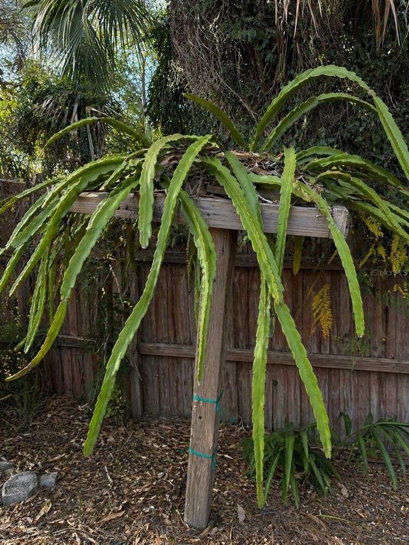 Image 44 of property listing at 8618 GRANDVIEW DRIVE, Tampa, FL 33617