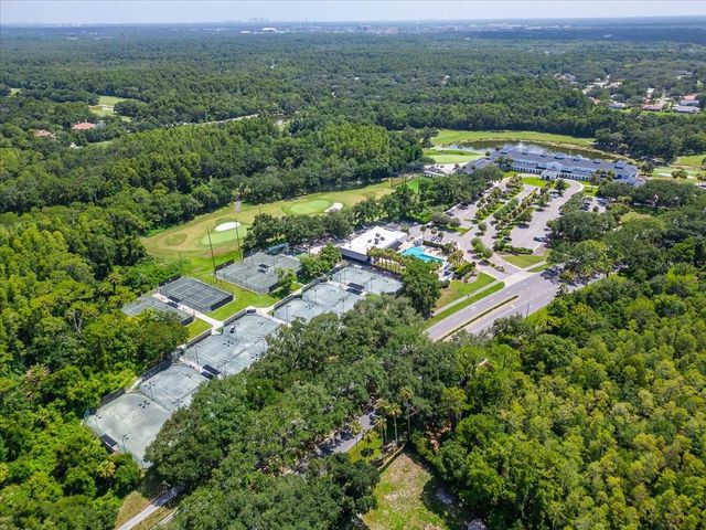 15707 COCHESTER ROAD, Tampa, FL 33647