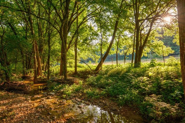 2405 Thompson Rd, Lewisburg, TN 37091
