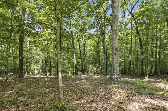 7215 Sugar Maple Dr, Fairview, TN 37062