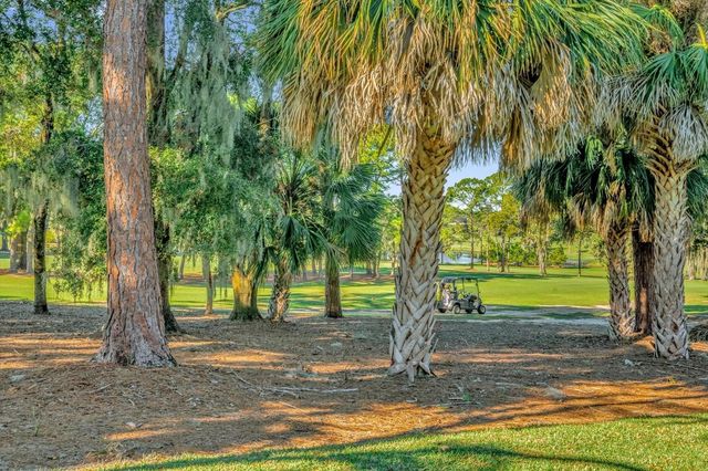 202 CAMINO REAL BOULEVARD 202, Howey In The Hills, FL 34737