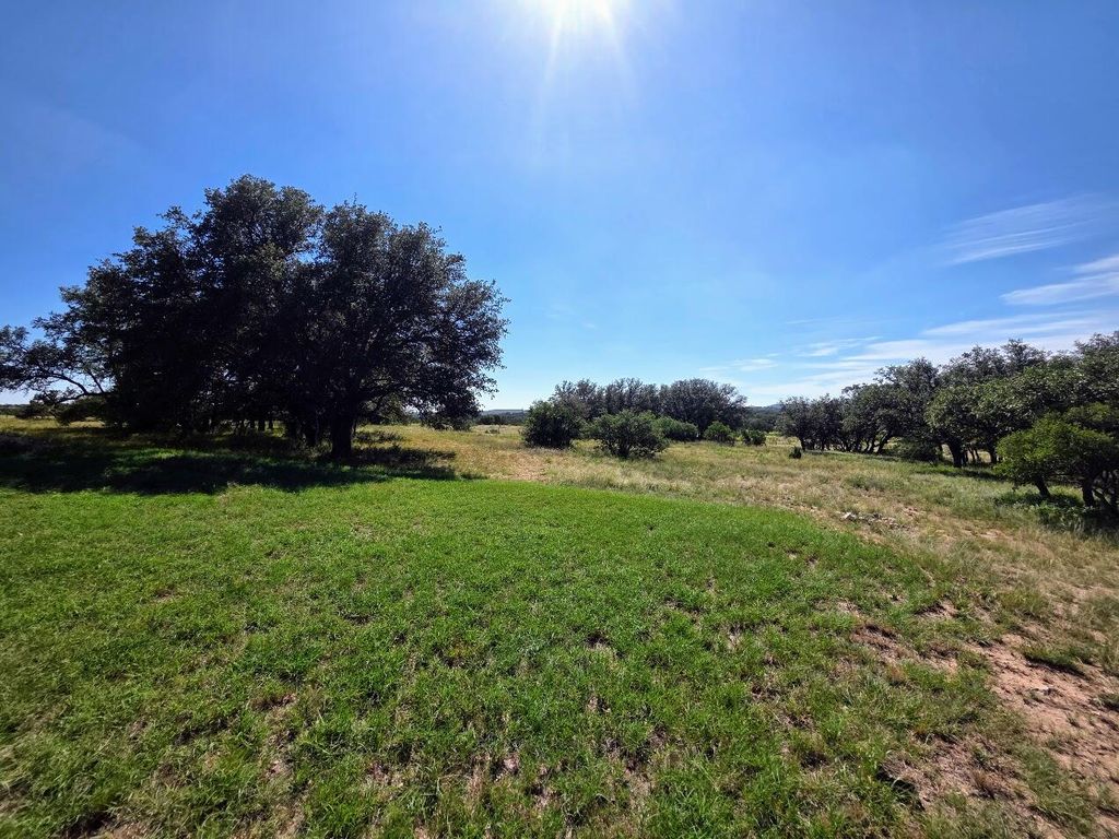 Image 42 of property listing at 6343 County Road 101, Mertzon, TX 76941