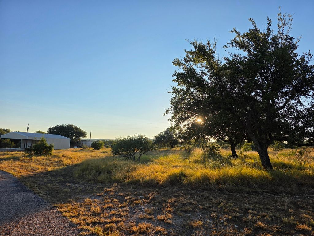 Image 45 of property listing at 6343 County Road 101, Mertzon, TX 76941