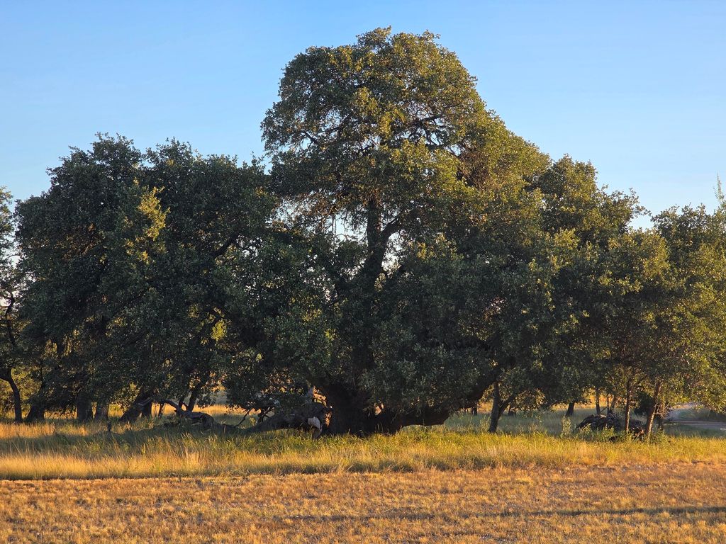 Image 49 of property listing at 6343 County Road 101, Mertzon, TX 76941