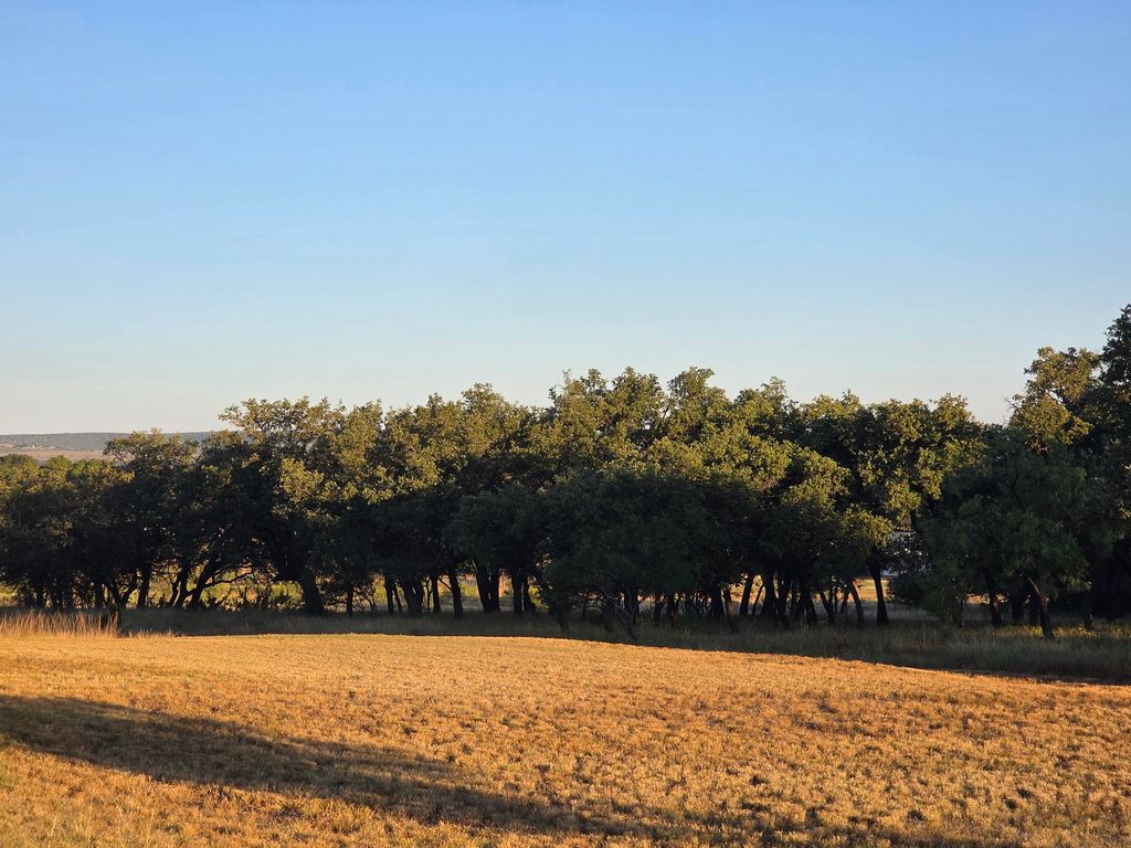 Image 50 of property listing at 6343 County Road 101, Mertzon, TX 76941