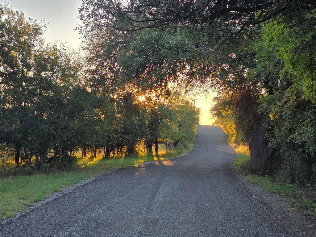 Image 51 of property listing at 6343 County Road 101, Mertzon, TX 76941