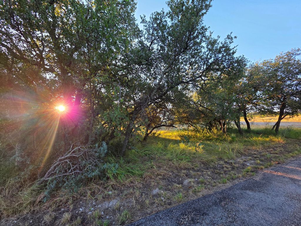 Image 7 of property listing at 6343 County Road 101, Mertzon, TX 76941