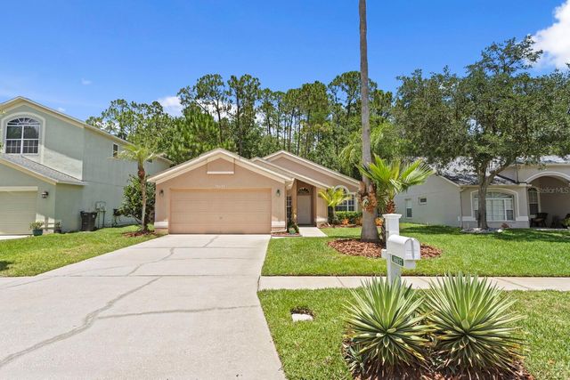 16037 SHINNECOCK DRIVE, Odessa, FL 33556