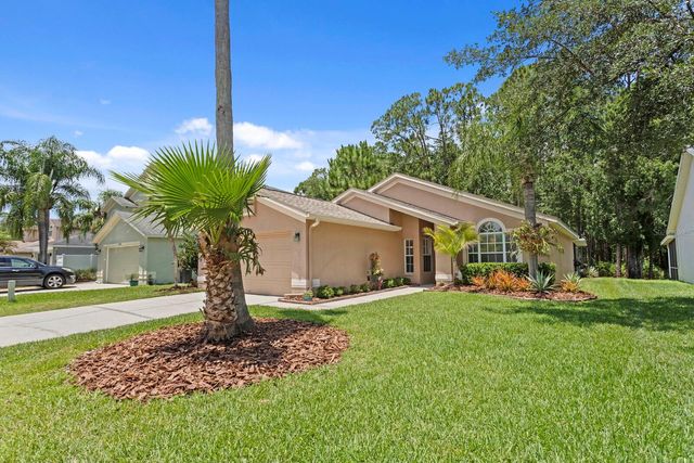 16037 SHINNECOCK DRIVE, Odessa, FL 33556