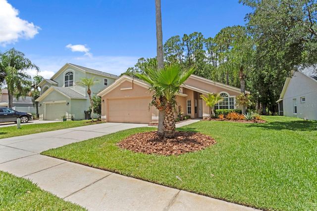 16037 SHINNECOCK DRIVE, Odessa, FL 33556