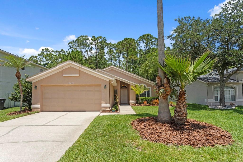 16037 SHINNECOCK DRIVE, Odessa, FL 33556