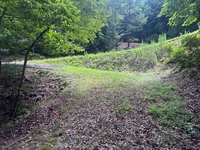 39 Fiddlers Way, Brasstown, NC 28904