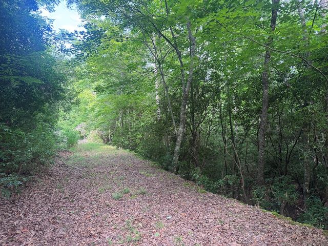 39 Fiddlers Way, Brasstown, NC 28904