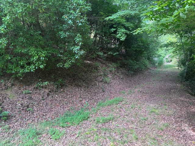 39 Fiddlers Way, Brasstown, NC 28904