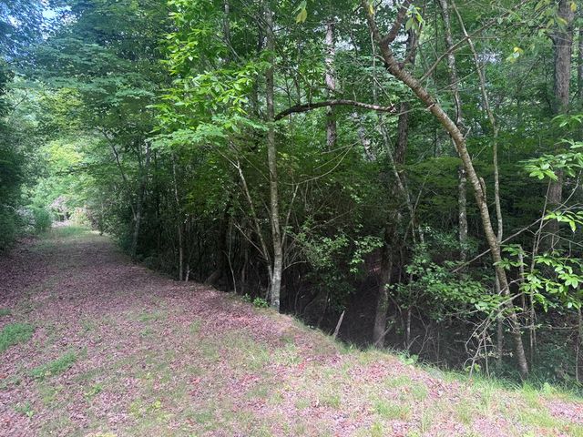 39 Fiddlers Way, Brasstown, NC 28904