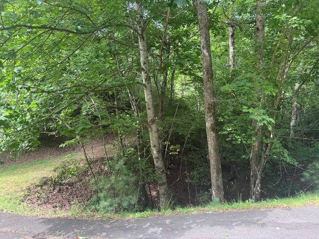 39 Fiddlers Way, Brasstown, NC 28904