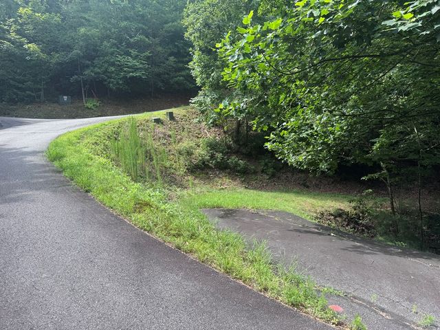 39 Fiddlers Way, Brasstown, NC 28904
