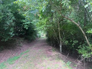 39 Fiddlers Way, Brasstown, NC 28904