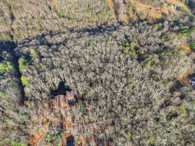 144 Hothouse View, Mineral Bluff, GA 30559