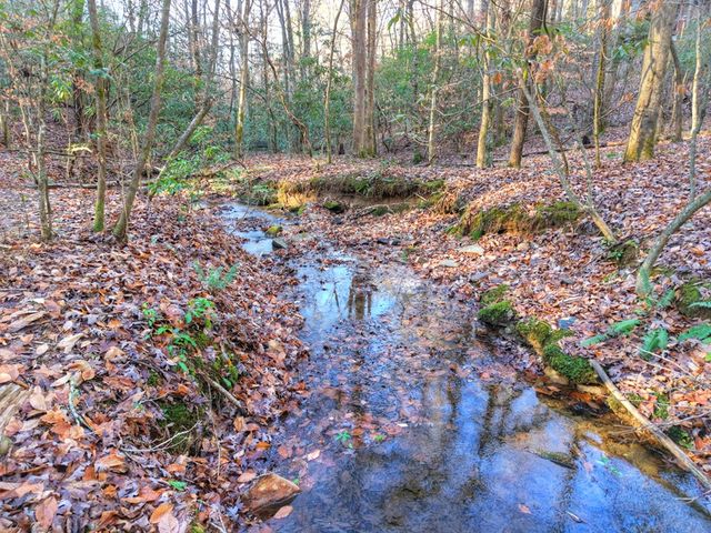 144 Hothouse View, Mineral Bluff, GA 30559