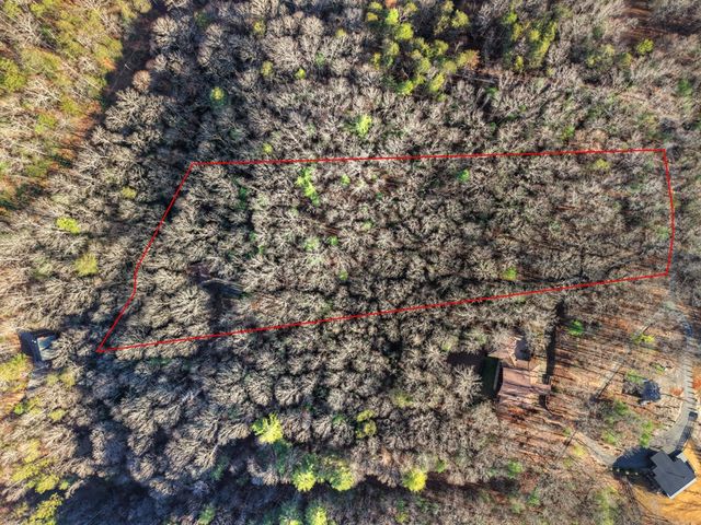 144 Hothouse View, Mineral Bluff, GA 30559