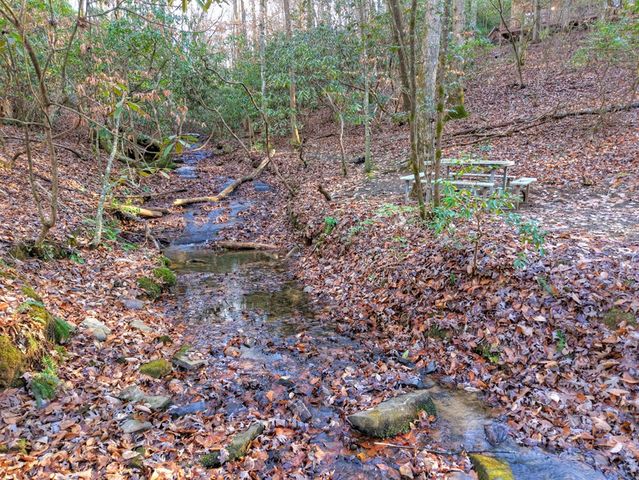 144 Hothouse View, Mineral Bluff, GA 30559